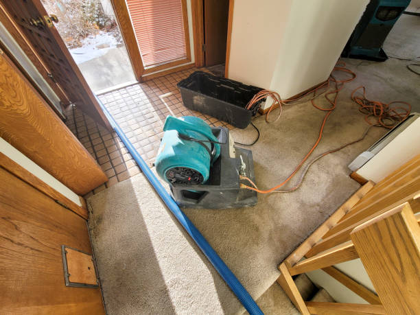 Best Professional water damage repair  in Fremont, NC