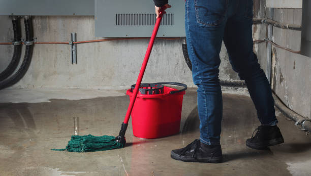 Best 24/7 water damage repair  in Fremont, NC