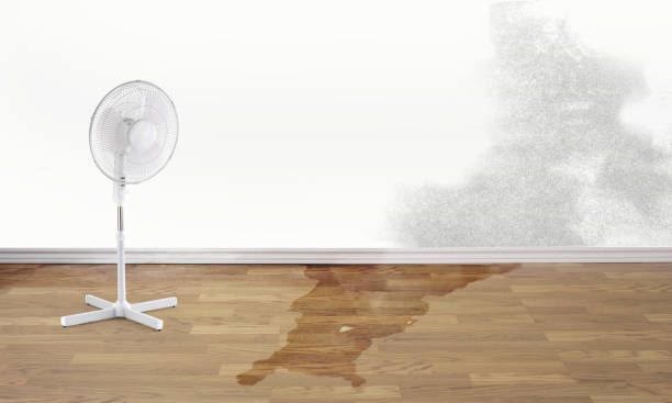 Best Water damage restoration near me  in Fremont, NC